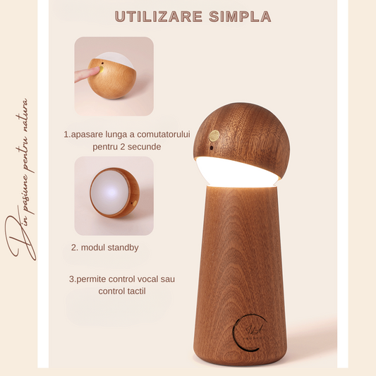 Lampa Smart Uleiuri Esentiale